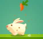 Greedy Rabbit